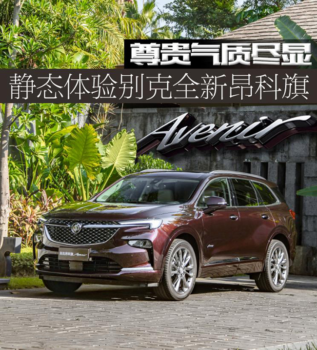 尊贵气质尽显 静态体验昂科旗Avenir