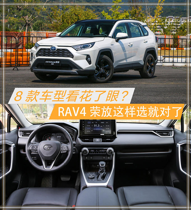 全新RAV4荣放购车手册 燃油双擎如何选